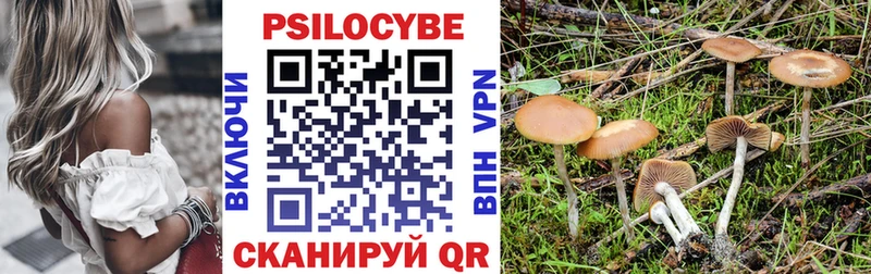 Псилоцибиновые грибы Cubensis  Мантурово 